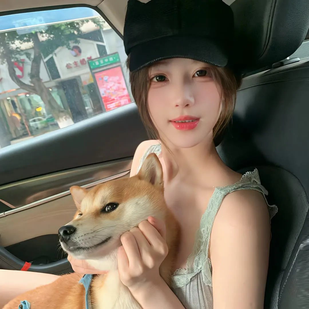 我的他和他海报