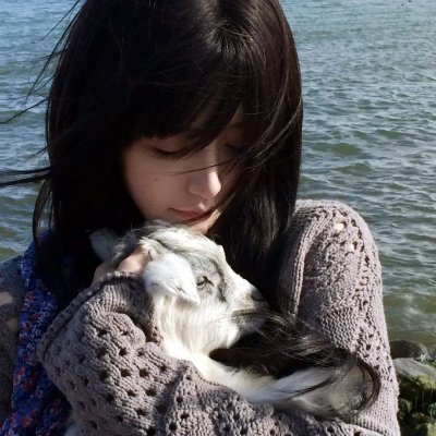 抢救基努猫海报